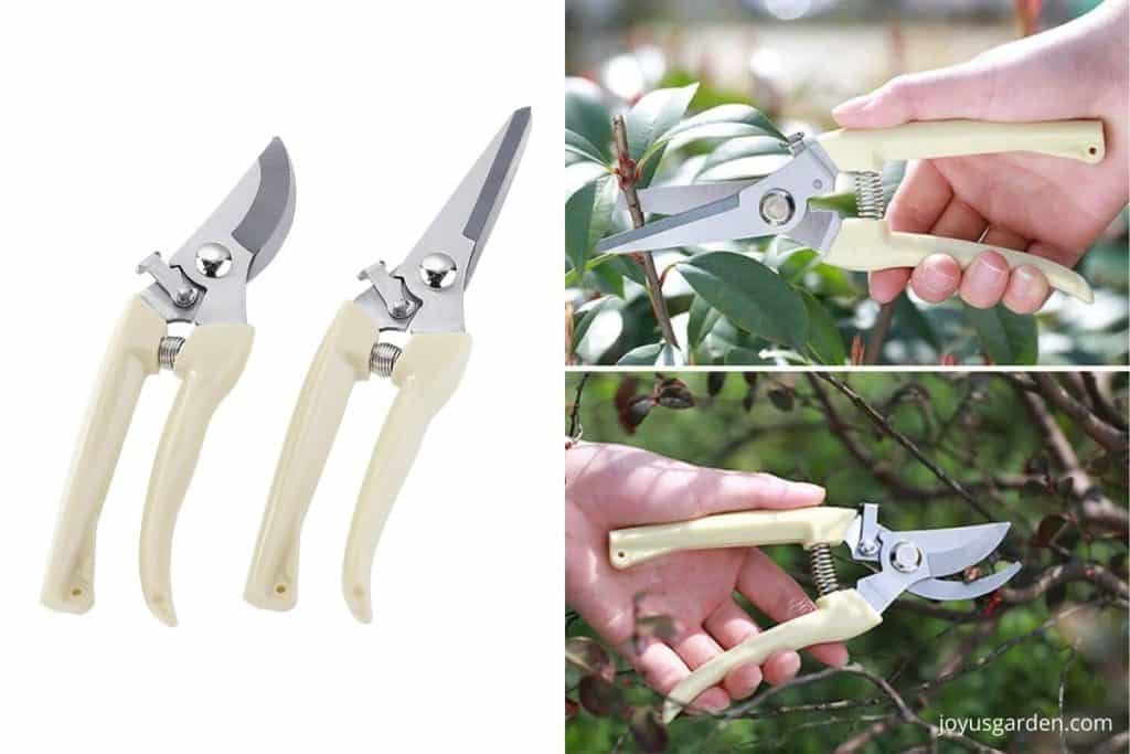 light yellow and silver pruners cutting through thin branches with green leaves on them that you can buy on amazon