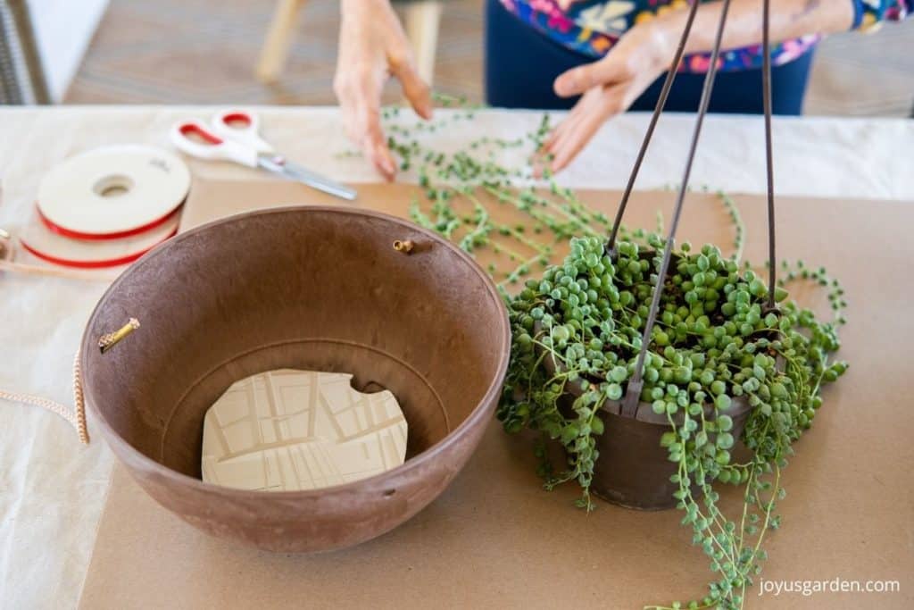 a terracotta colored hanging pot sits on a table next to a string of pearls plant with long trails