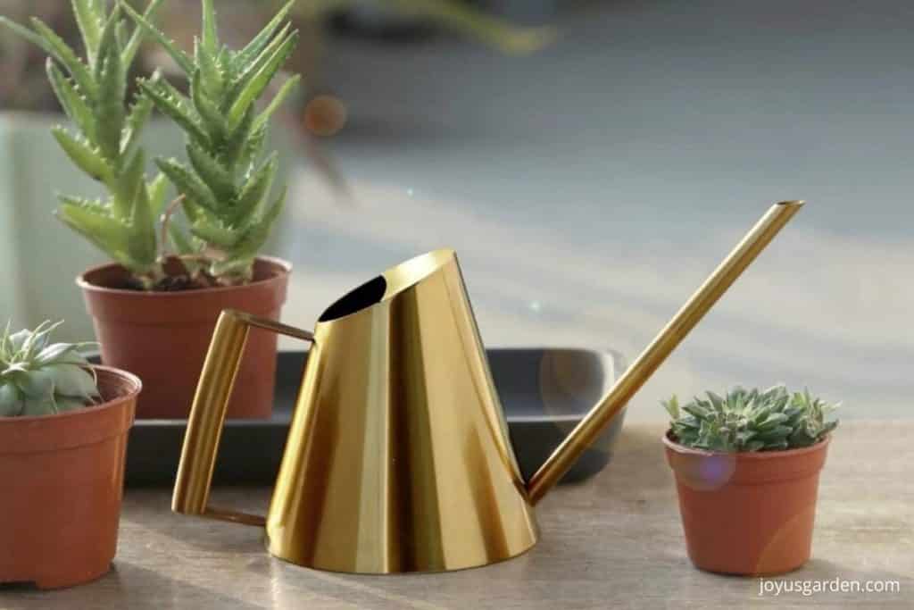 sleek gold watering can with long spout from etsy