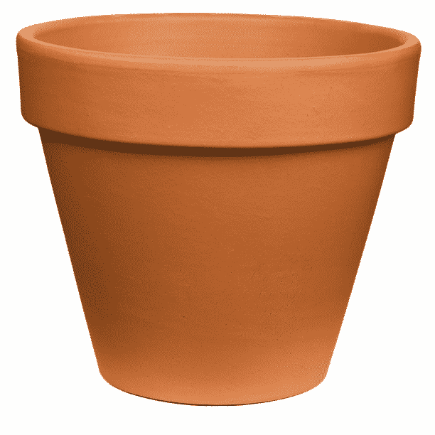 rounded classic terracotta pot that is 6 inches in diameter