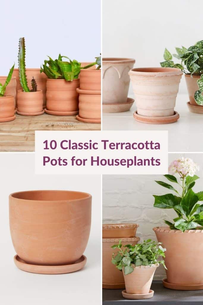 a collage showing 4 different styles of terracotta pots the text reads 10 classic terracotta pots for houseplants