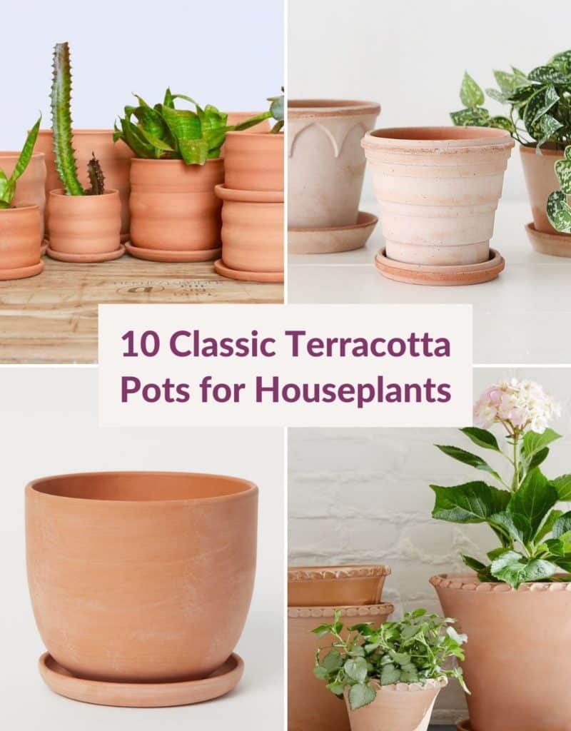 a collage showing 4 different styles of terracotta pots the text reads 10 classic terracotta pots for houseplants