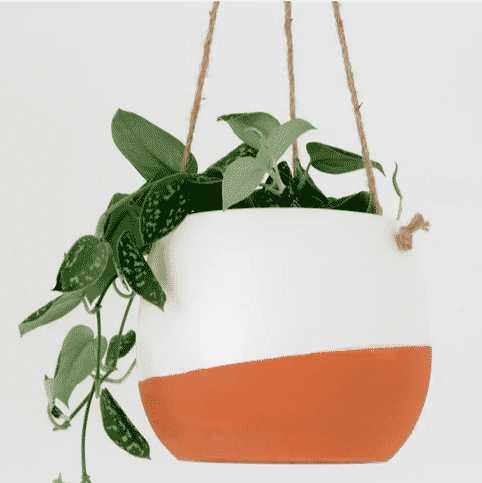 white and orange hanging planter