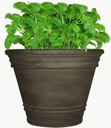 brown pot and plant growing inside for sale at amazon