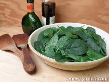Baby leaf spinach in bowl.