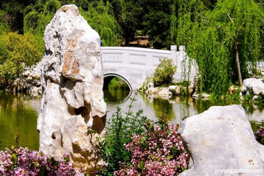 the chinese garden at the huntington library & gardens
