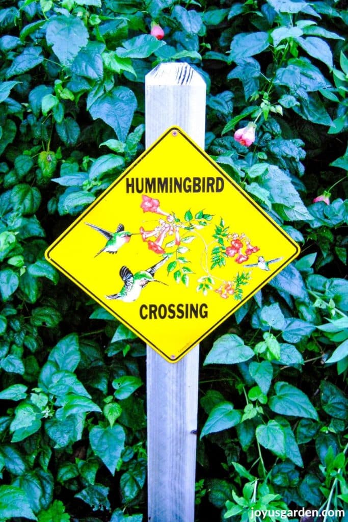 a hummingbird crossing sign at the south coast botanic garden