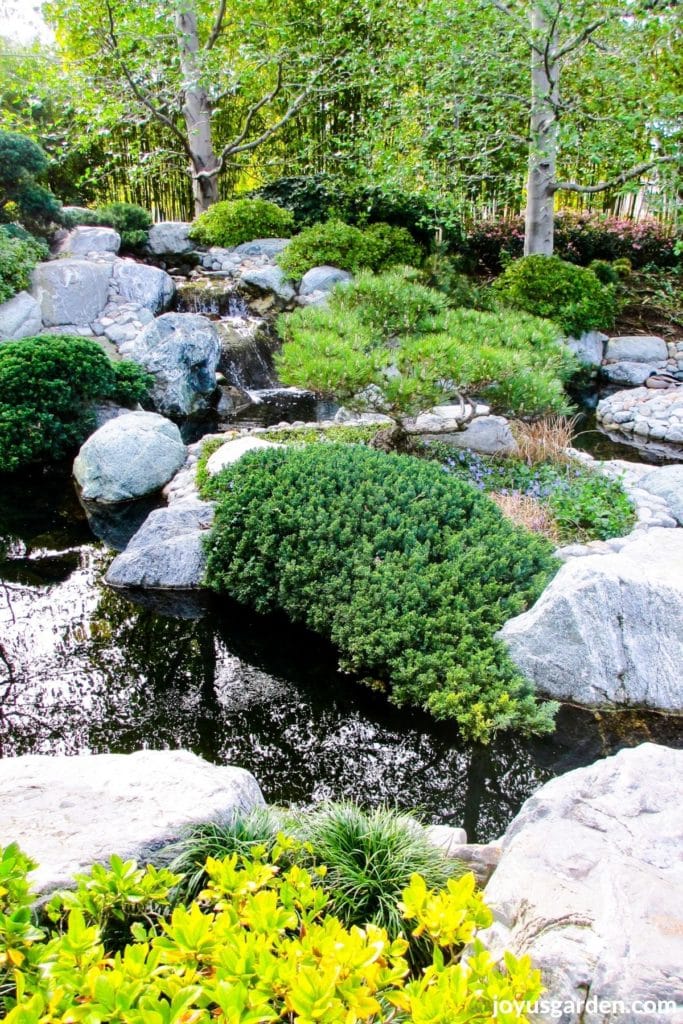 the pond & waterfall at the japanese friendship garden in balboa park