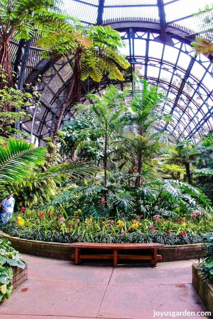 inside the botanical building at the japanese friendship garden in balboa park