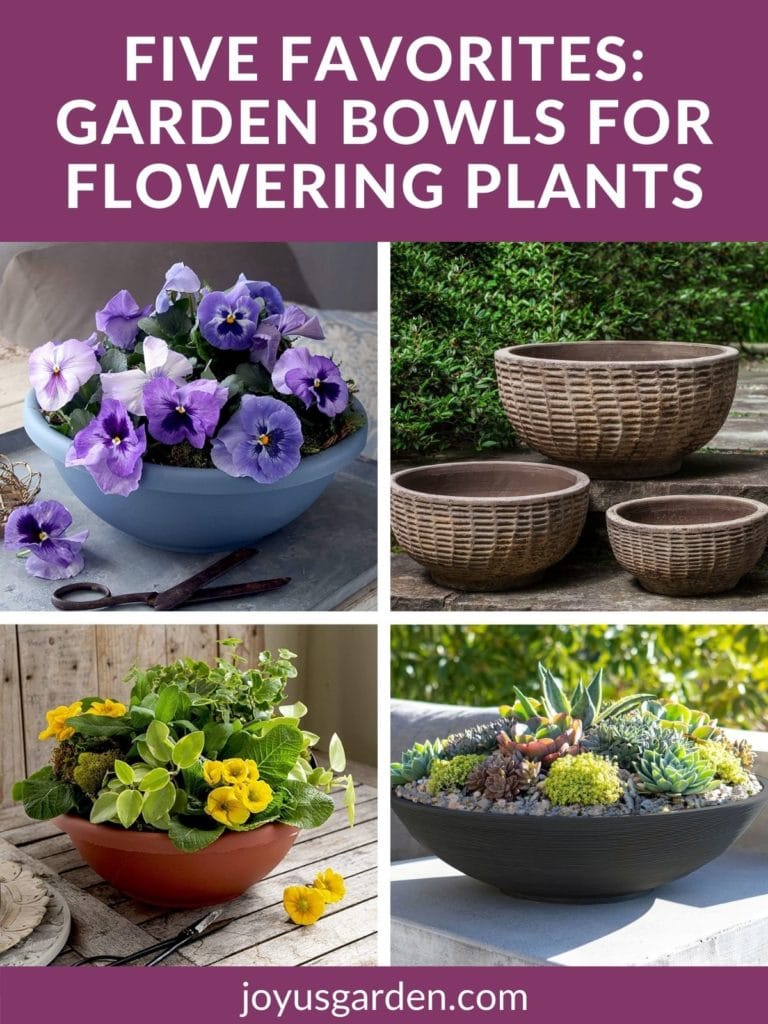 Garden Bowls For Flowering Plants