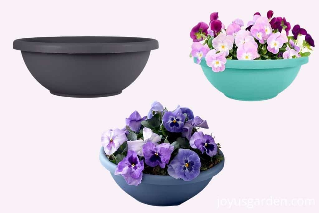 3 different round plastic garden bowls available to buy online at amazon