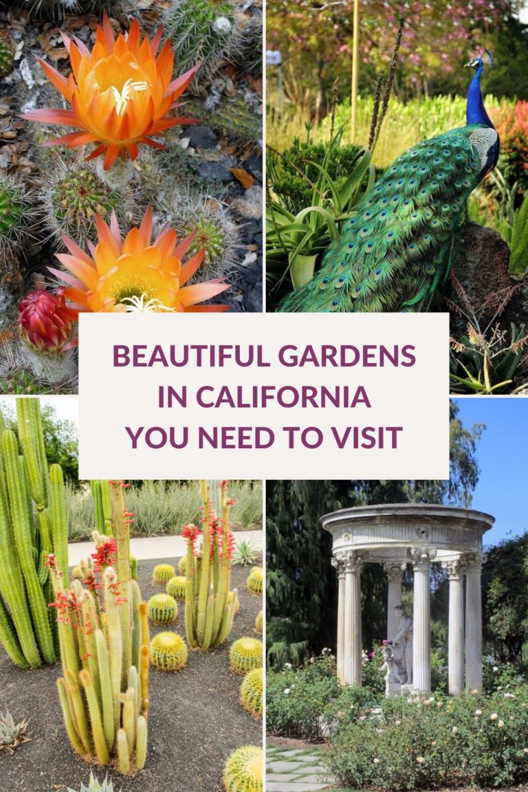 22 Beautiful Gardens in California You’ll Love