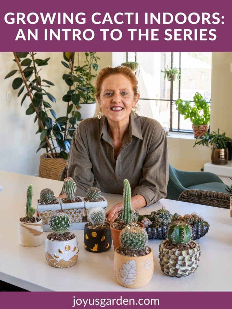 Growing Cactus Indoors: An Intro to the Series