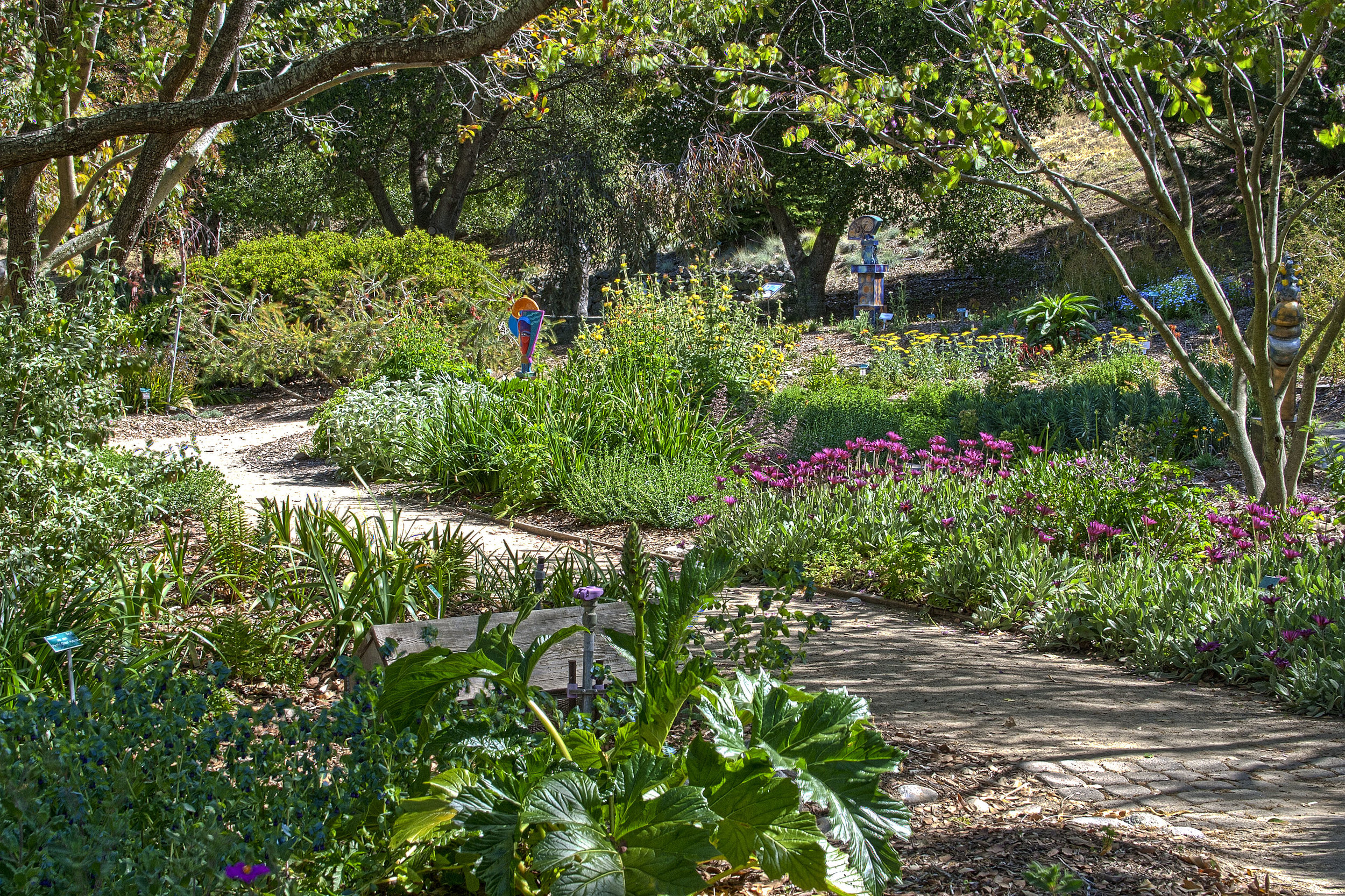 Display garden at San Luis Obispo Botanical Garden