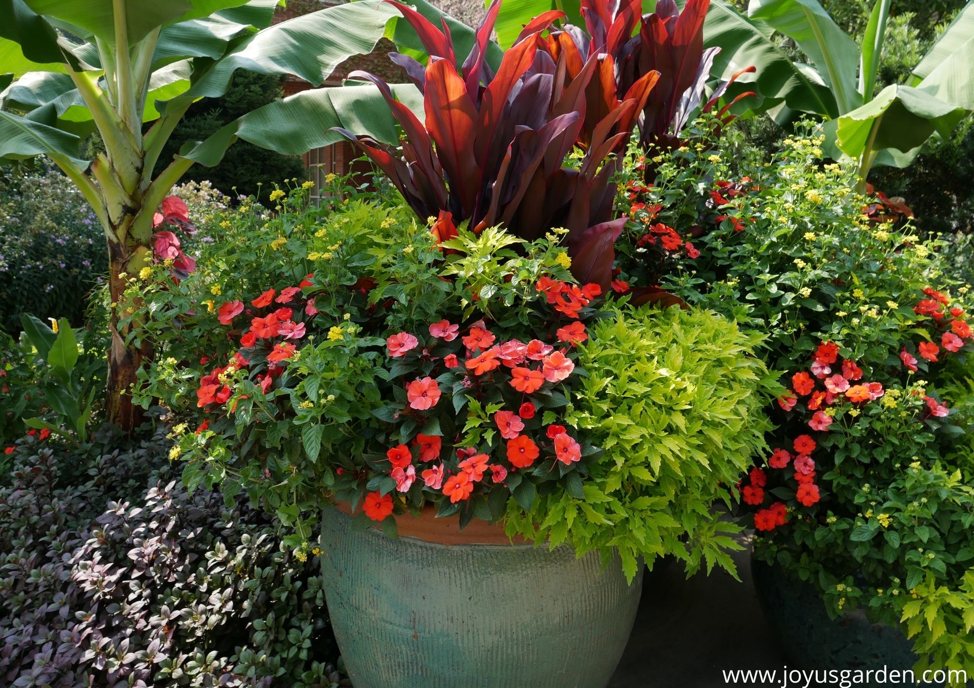 variety of plants potted in blue pot with lush tropical plants in the background
