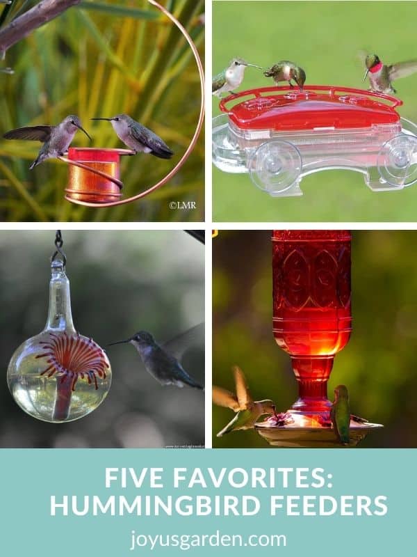 a coolage of 4 photos showing 4 different hummingbird feeders for sale online the text reads five favorites hummingbird feeders joyusgarden.com