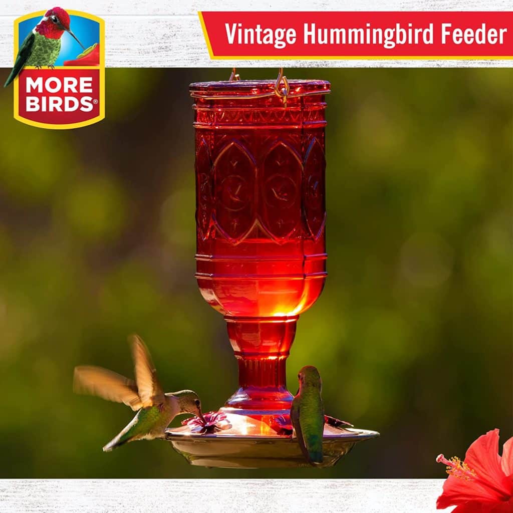 red jewel vintage-inspired feeder for hummingbirds with red glass jar on amazon