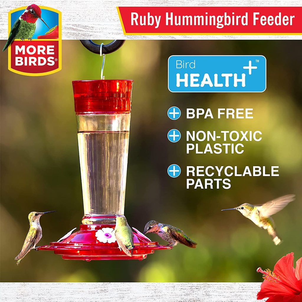the more birds glass ruby feeder for hummingbirds with 4 feeding ports on amazon