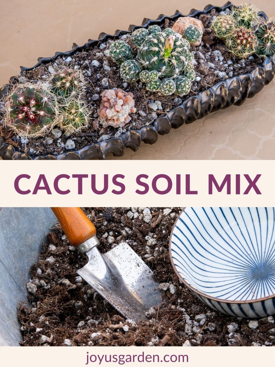 Succulent Plant Soil Mix