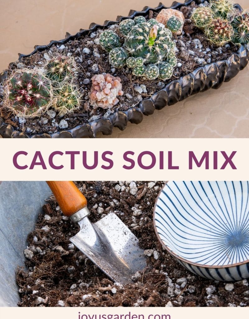 a collage with 2 photos on the top is a low cactus planter & on the bottom a bin with cactus soil mix the text reads cactus soil mix joyusgarden.com