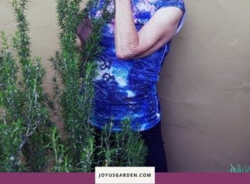 woman smelling rosemary text reads having problems growing rosemary? here's the only guide you'll need joyusgarden.com