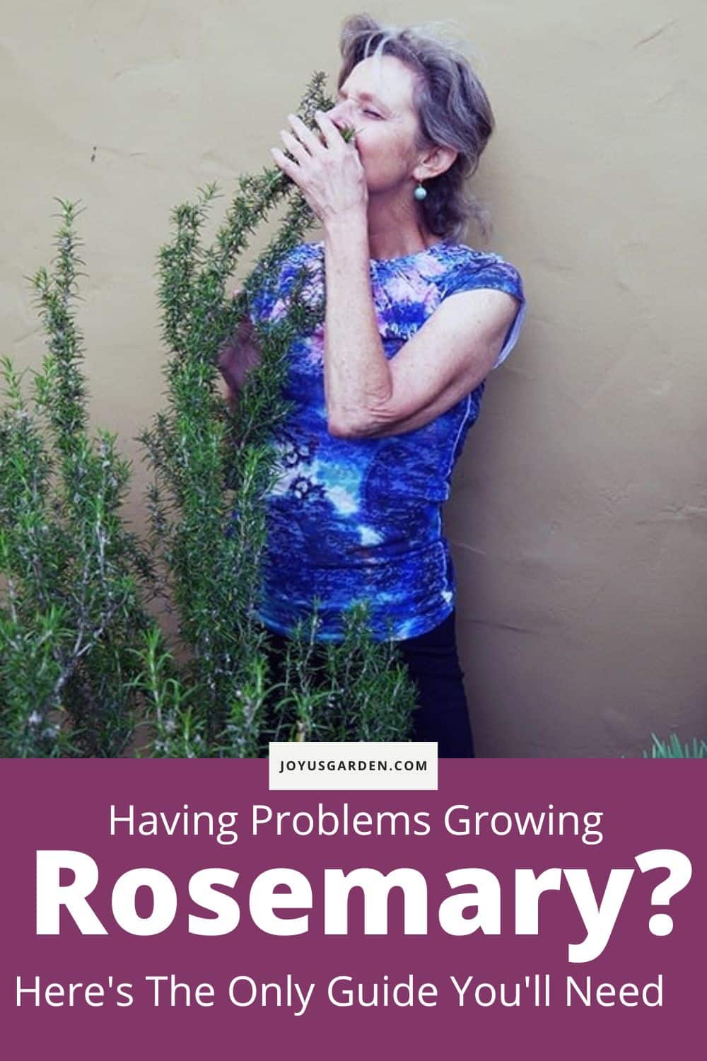 The top 20+ How often should you water rosemary indoors 7 Growing Rosemary: How to Care for this Culinary Shrub