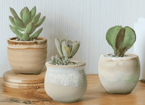 three ceramic pots with succulents inside available at etsy