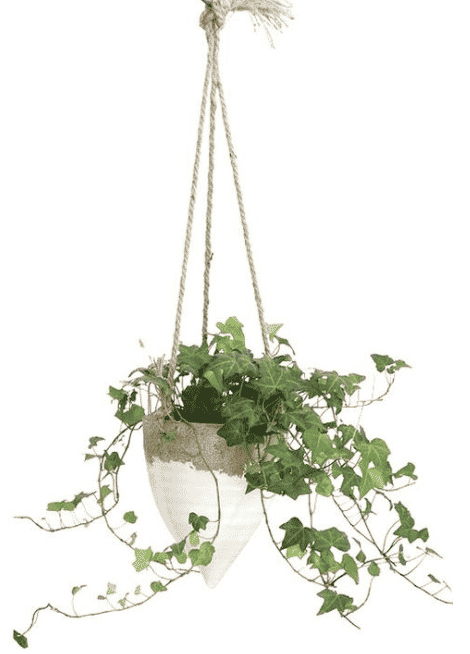 jute rope hanging white ceramic planter with an ivy plant inside available at target