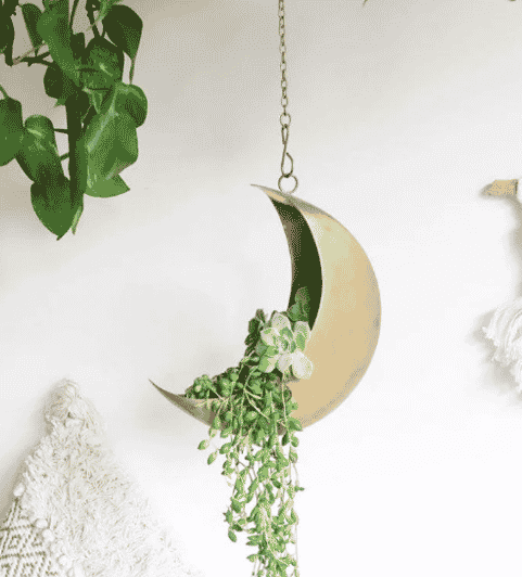 metal gold shaped moon hanging planter with succulent plants inside hanging from a chain in bright room from etsy