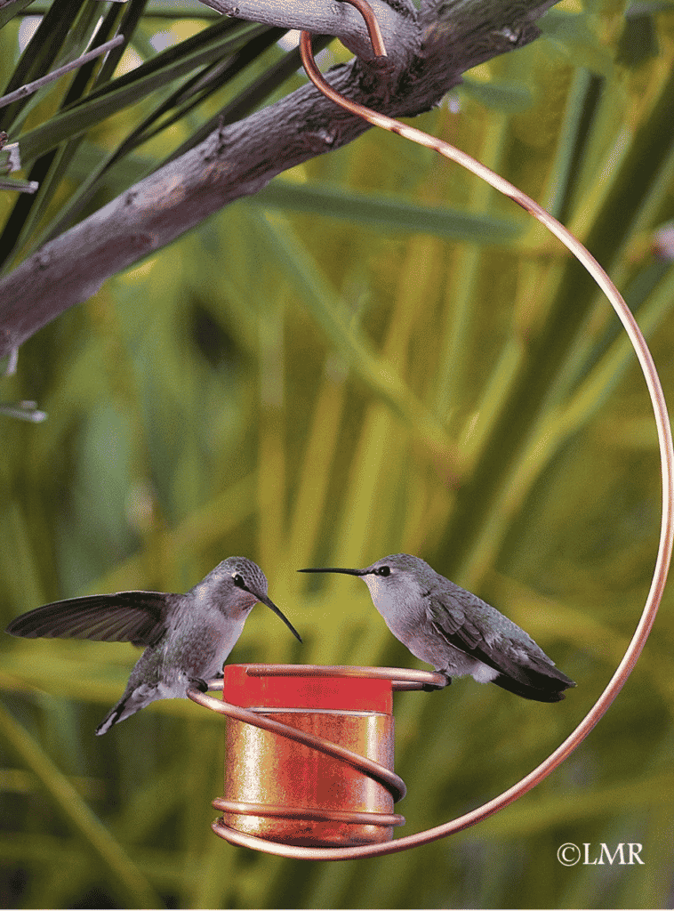 a copper feeder for hummingbirds  with a red top from Etsy to hang