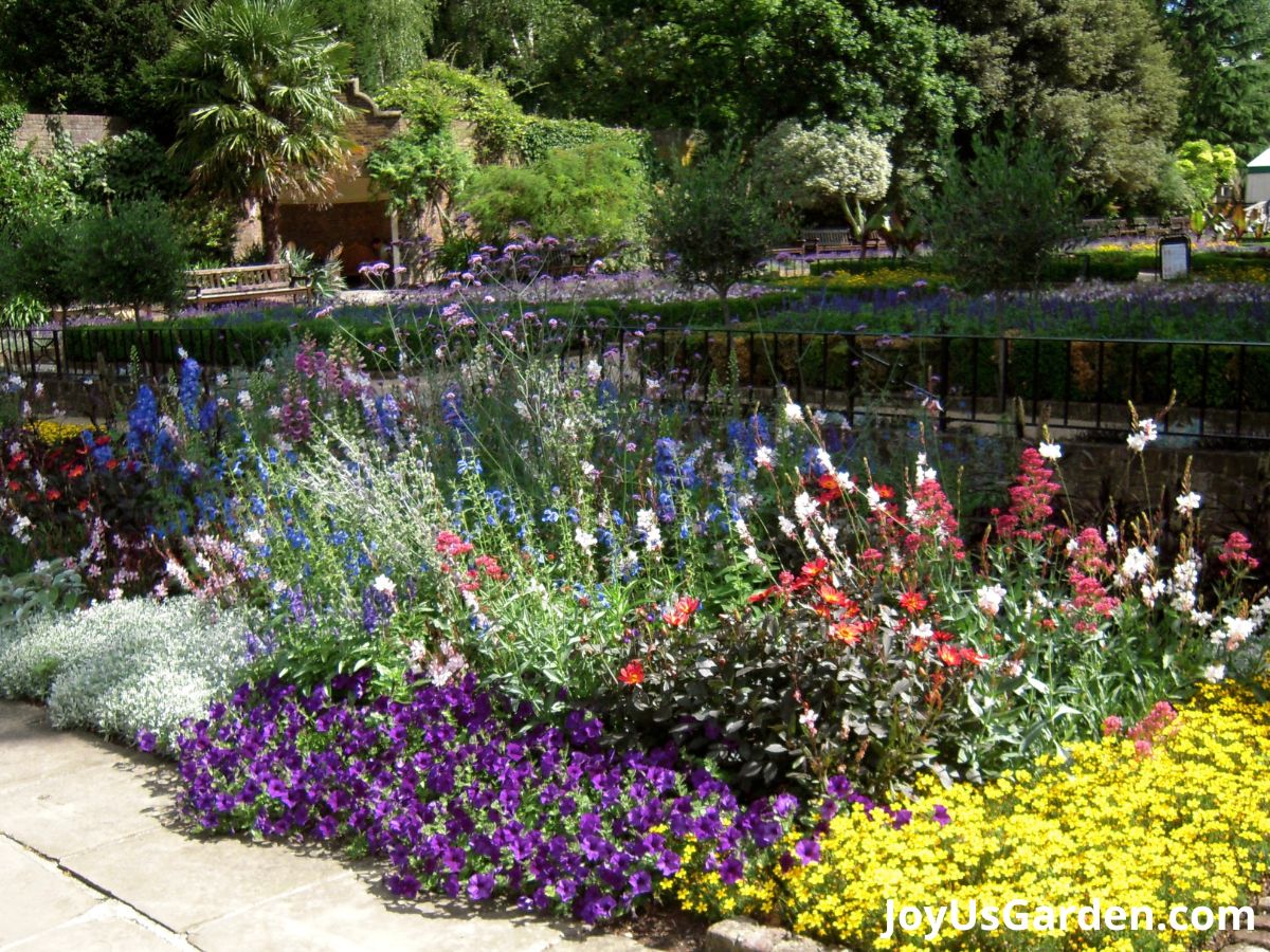 example of a butterfly garden with a variety of colors yellow purple red blue white and heights and sizes of plants with water feature in background