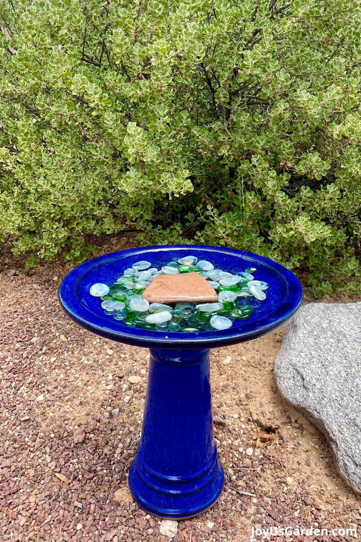 Bird bath outdoors filled with pebbles and water to use as a water source for pollinators.