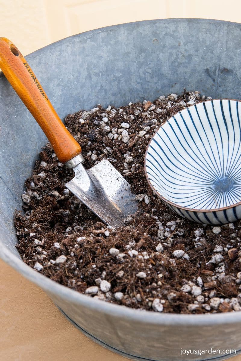 Close up of a tin bucket filled with succulent & cactus soil holding a hand trowel, & a bowl. 
