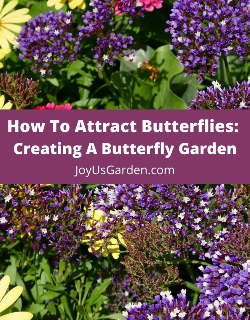 lead photo that reads how to attract butterflies: creating a butterfly garden joyusgarden.com