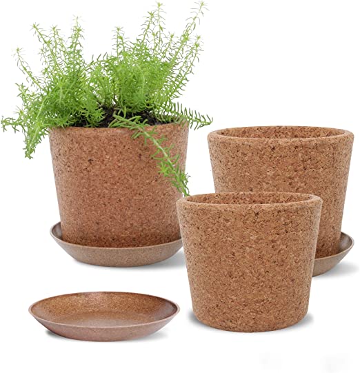 set of three cork planter pots 5.5 inch with saucers photo shows one planter with plant inside other 2 are empty from amazon