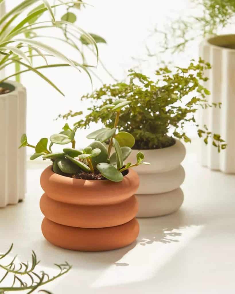 2 aware mini stacking planters with a ribbed design to buy from urban outfitters