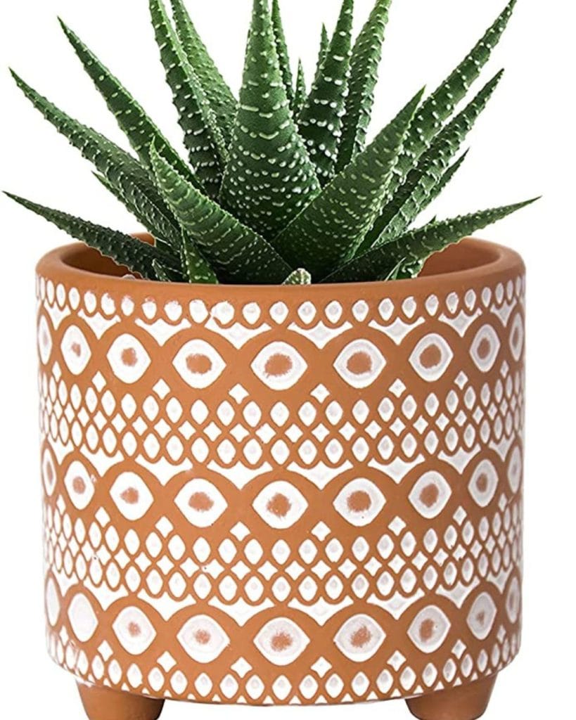 1 modern designs plants pots with drainage hole in terracotta with a white design to buy from amazon