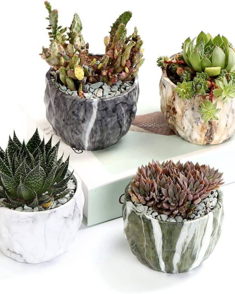 4 modern style marbling ceramic cactus planter in different colors to buy from amazon
