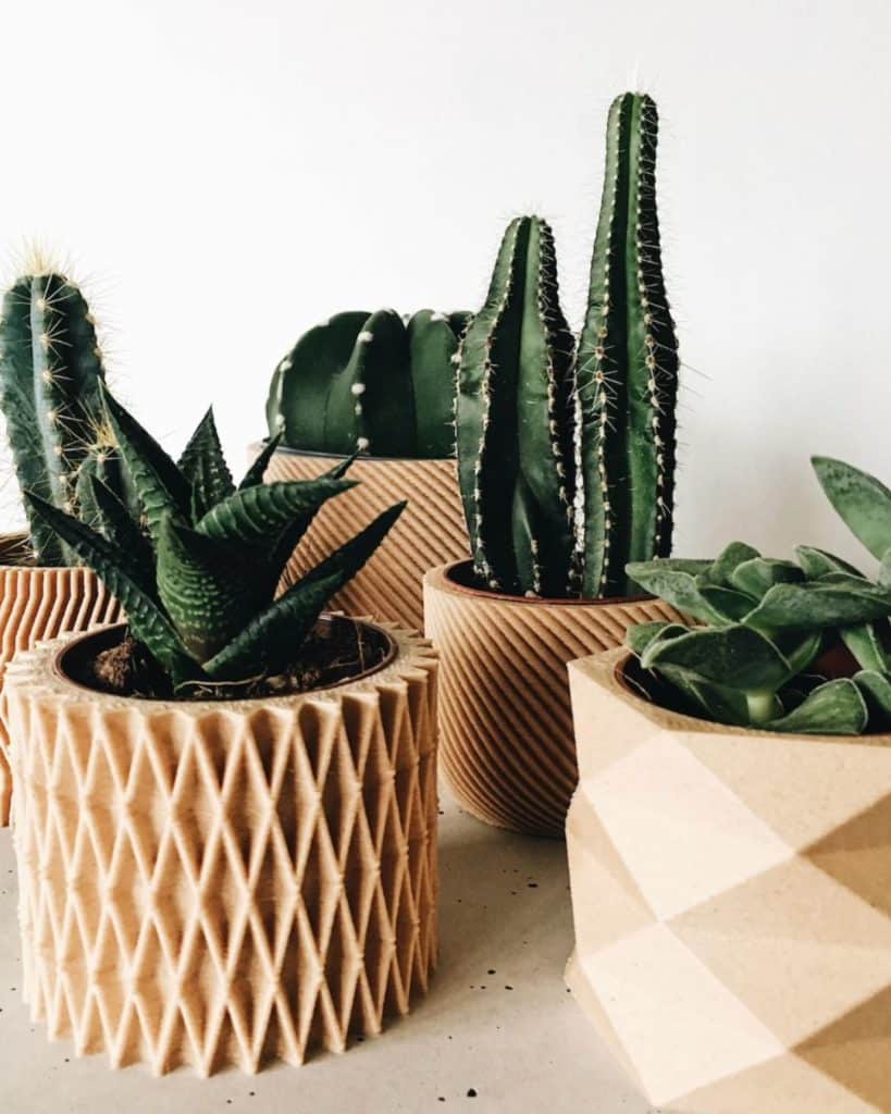 set of 4 small geometric pots for cacti made of recycled wood & plastic  to buy on etsy