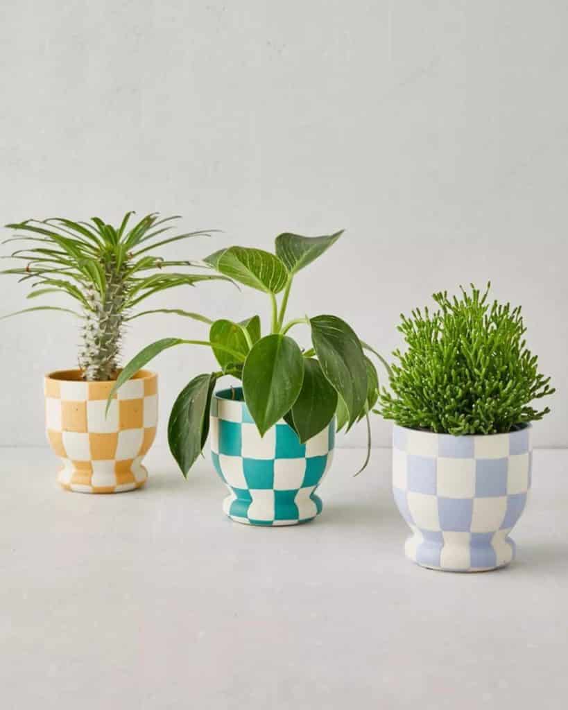 3 frankie planters in colorful checked patterns to buy at urban outfitters