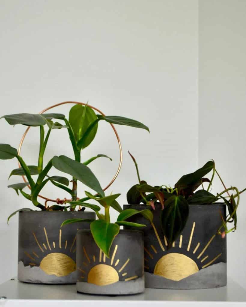 3 minimal charcoal gold painted sun planters for cacti to buy on etsy