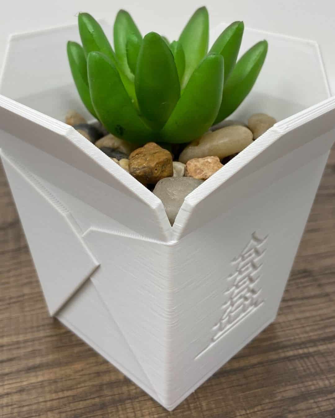 https://www.joyusgarden.com/wp-content/uploads/2022/07/small-pots-for-cacti5.jpg