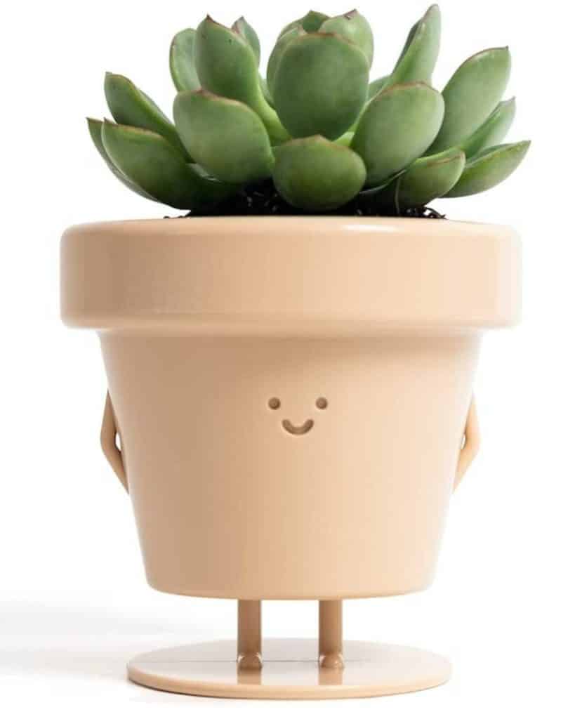 1 standing indoor plant pot in light tan with a smiley face & legs to buy from amazon