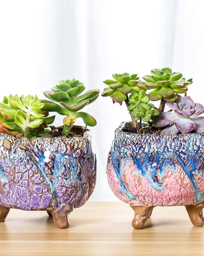 2 handmade natural cracking succulent planters in violet & pink to buy from amazon