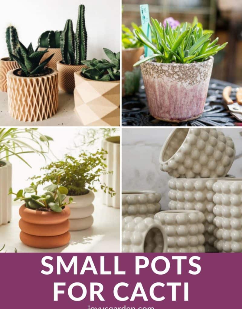 a collage of 4 photos of unique pots for cactus the text reads small pots for cacti joyusgarden.com