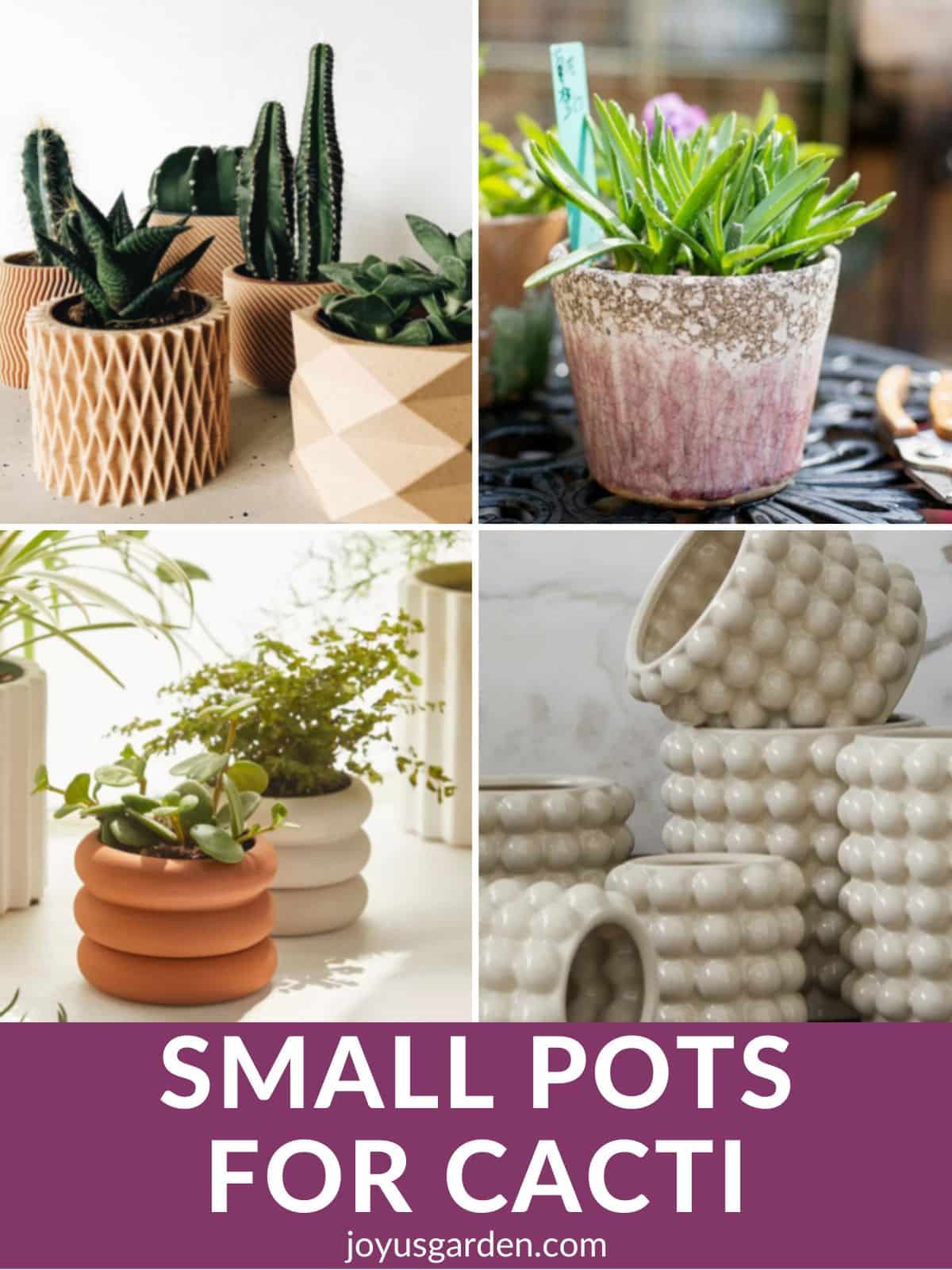 a collage of 4 photos of unique pots for cactus the text reads small pots for cacti joyusgarden.com