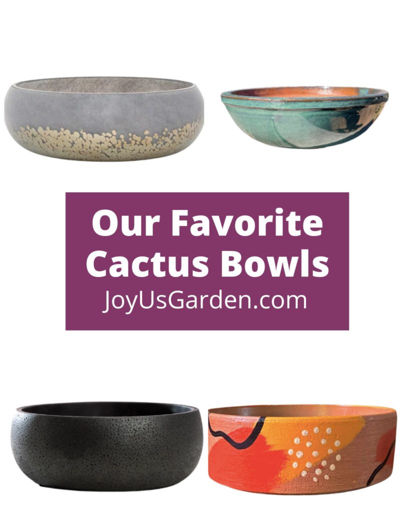 4 cactus bowls are shown in collage from etsy and the text reads our favorite cactus bowls joyusgarden.com
