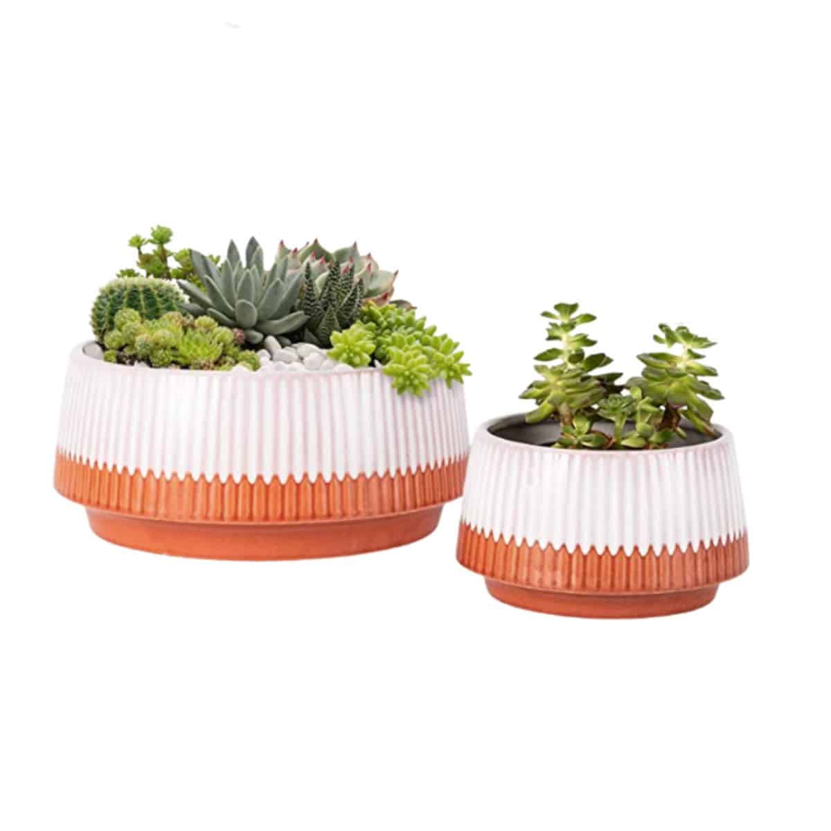two pack ceramic glazed plant bowl with succulents planted inside and a drainage hole from amazon