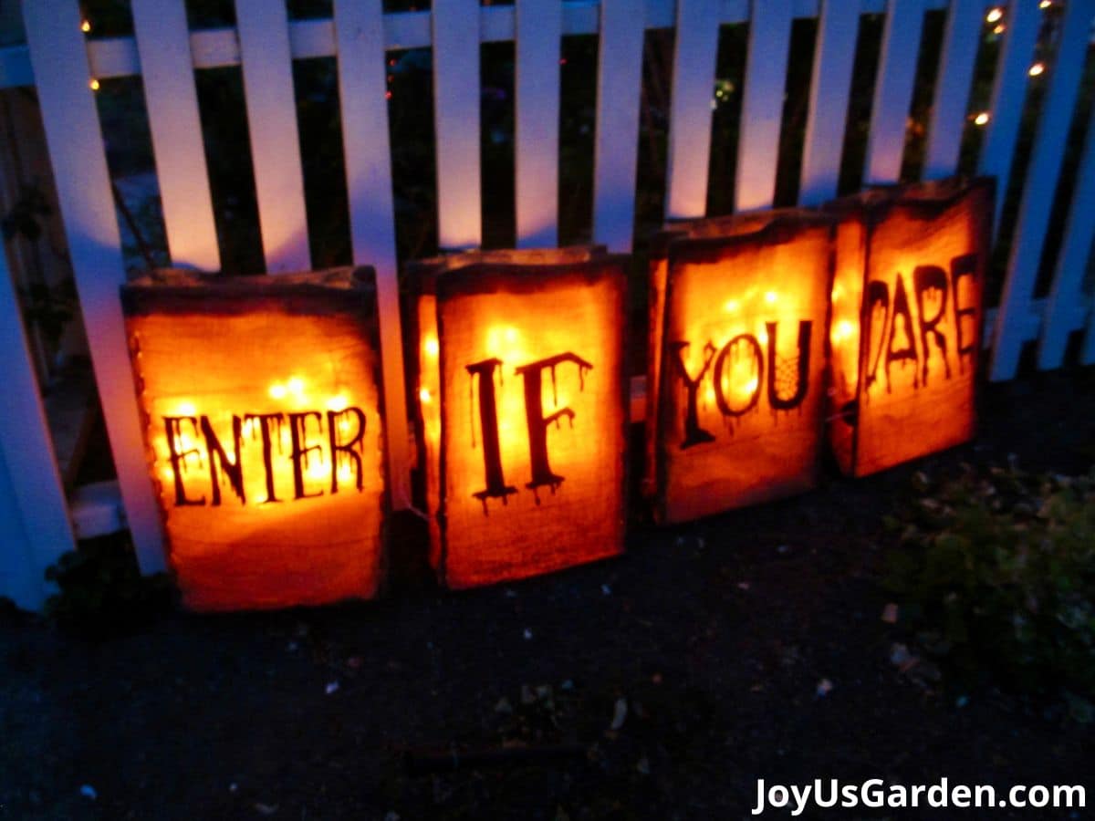 Enter If You Dare Luminaries lanterns at night lit up in front of white picket fence.