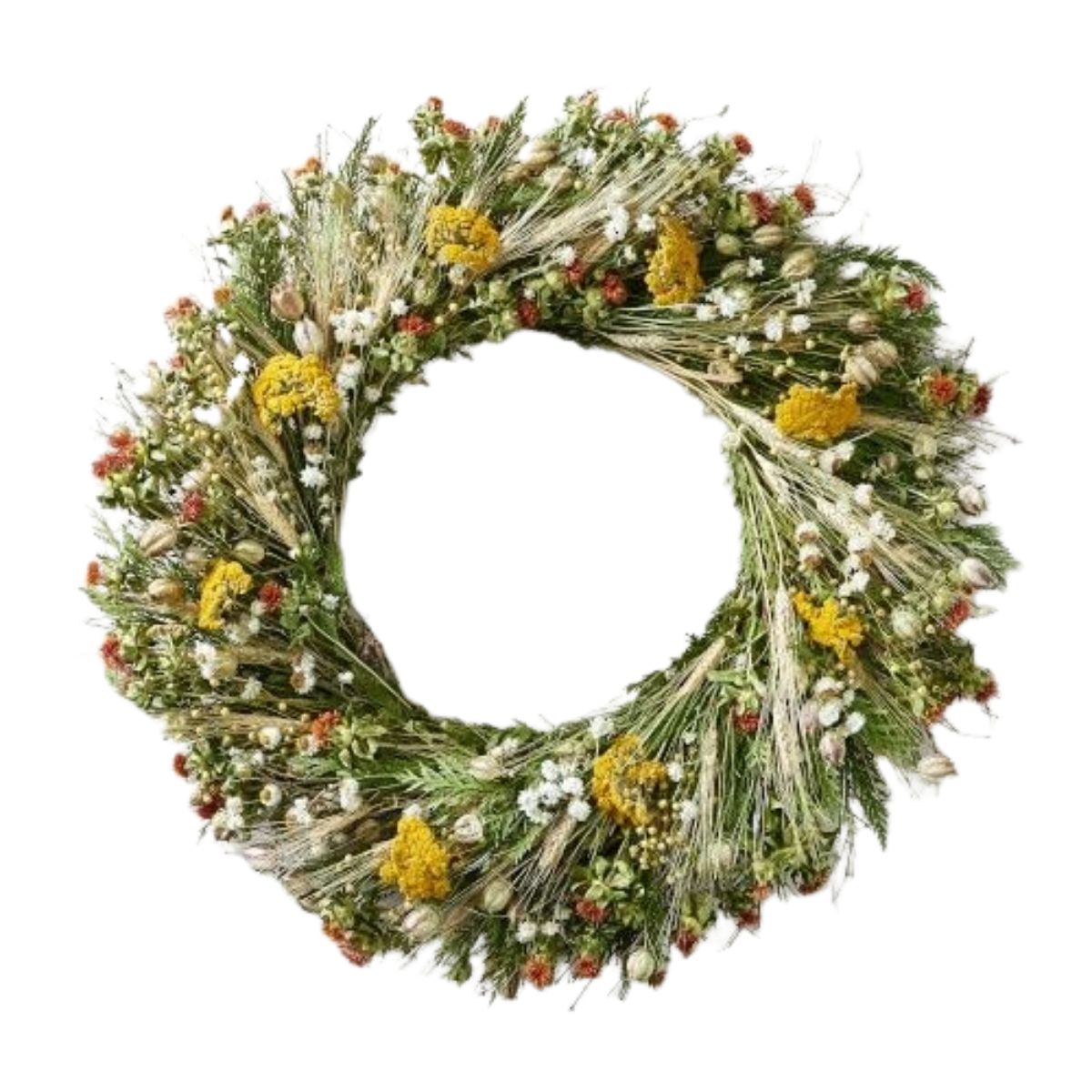 dried floral wreath with orange safflowers, yellow yarrow and ivory ammobium and green foliage from williams sonoma